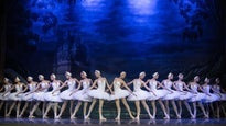 Schwanensee - Royal Classical Ballet