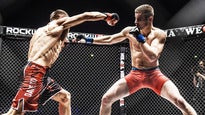 We Love MMA | Logen-Seat in der Ticketmaster Suite