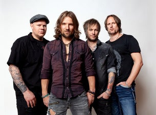 The New Roses
