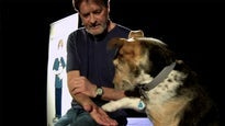 DocStefan - Tierische erste Hilfe für Hunde- und Katzenbesitzer
