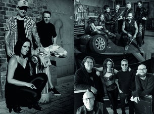 Winter's End Festival