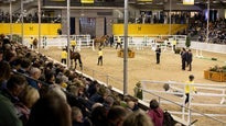 Körung und Hengstmarkt - Dressurhengste Kombiticket 20.-22.11.2025