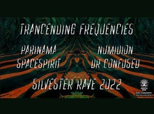 Trancending Frequenices - Sylvester Rave 2022