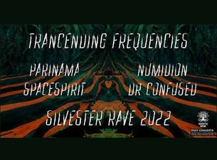 Trancending Frequenices - Sylvester Rave 2022 Trancending Frequenices - Sylvester Rave 2022