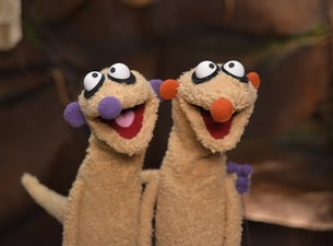 Jan & Henry - Die große Bühnenshow