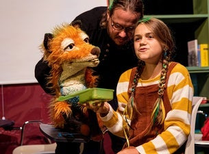 Die Schule der magischen Tiere